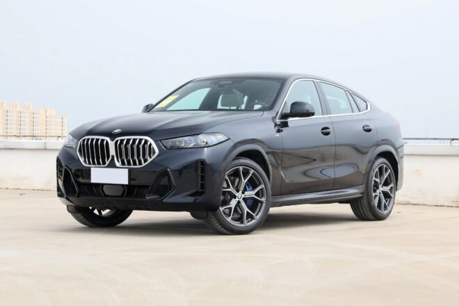 BMW X6 1