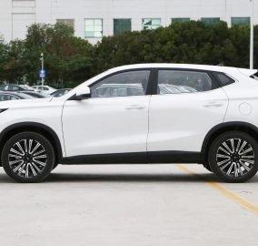 Changan OSHAN X5 3