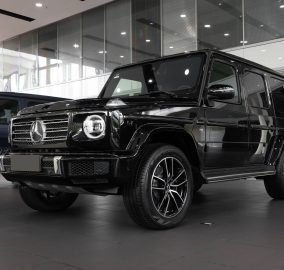 Mercedes-benz G-Class 1