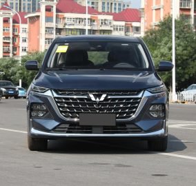 Wuling Victory 2